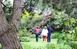 Visite du Parc floral