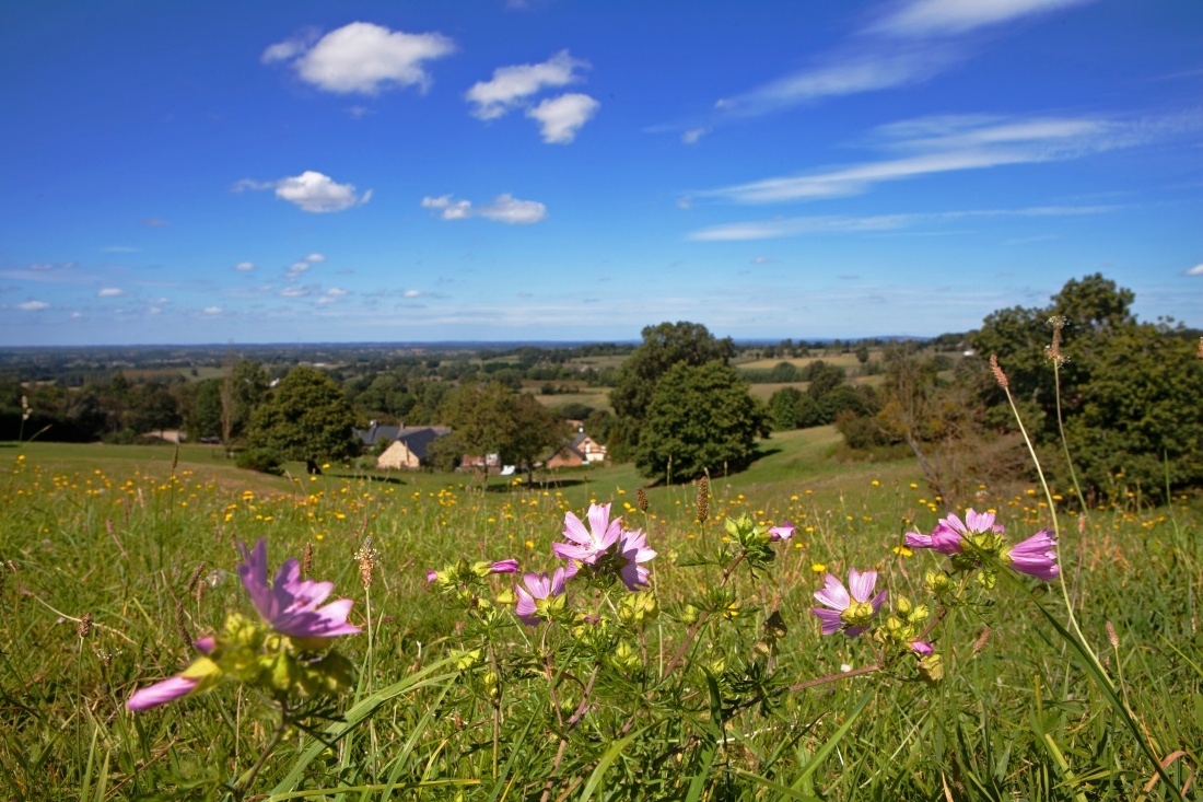 Le Bocage Mayennais &copy; Greboval