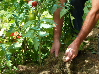 JARDINER AU NATUREL (compostage, paillage, tonte mulching...)