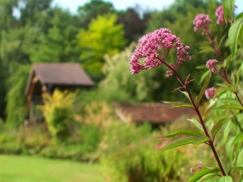 Les Jardins des Renaudies