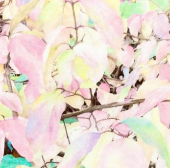 Exposition de JBFL duo