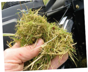 PAILLAGE ET MULCHING