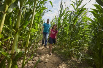 &copy; Prisma Bocage Mayennais