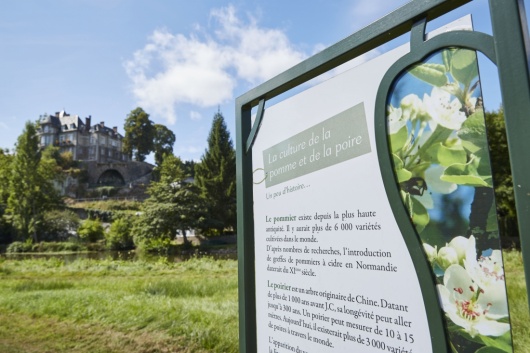 Le conservatoire pomologique d'Ambri&egrave;res-les-Vall&eacute;es