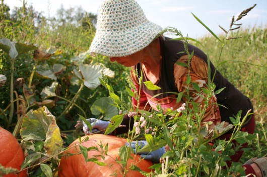 © Jardins des Renaudies