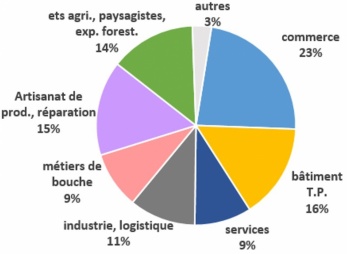 Porteurs de projets accompagn&eacute;s par secteurs d'activit&eacute;s
