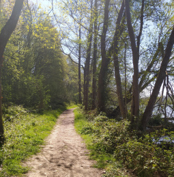 Ambri&egrave;res-les-Vall&eacute;es