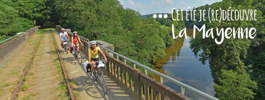 Viaduc de la Rosserie entre Saint-Loup-du-Gast et Ambri&egrave;res-les-Vall&eacute;es