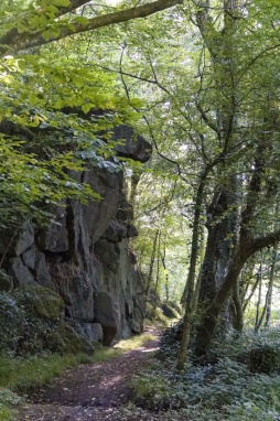 Oisseau