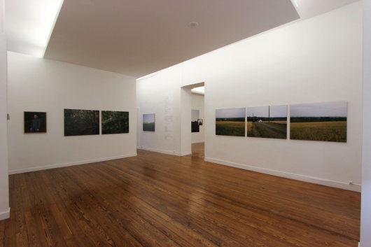 © Vue de l'exposition de Lise Gaudaire et Marc Loyon