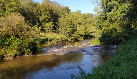La rivi&egrave;re La Colmont &agrave; Oisseau
