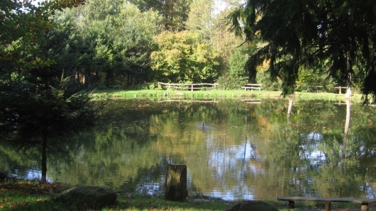 L'étang de Colombiers-du-Plessis