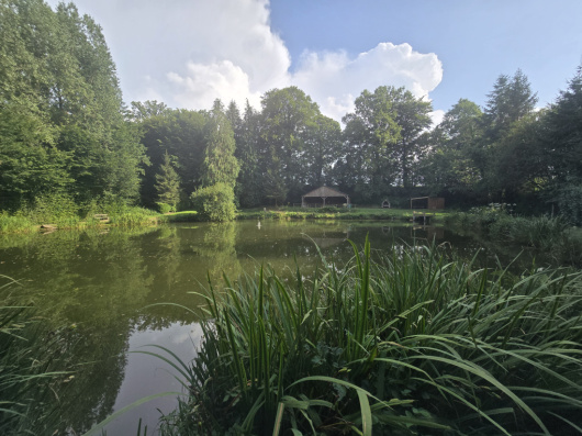 L'&eacute;tang de Colombiers-du-Plessis