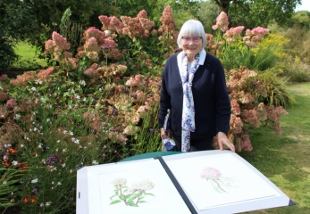 Marie-Paule SEIGNEUR, artiste