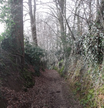 Chemin creux