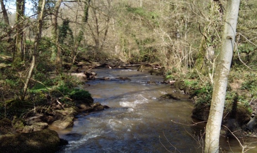 Ruisseau de La Futaie Bassin versant de l'Airon