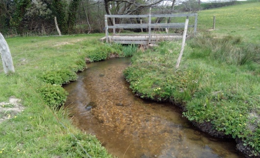 Ruisseau de la Gauberdi&egrave;re  Bassin versant de la Colmont