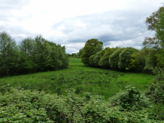 Prairie humide