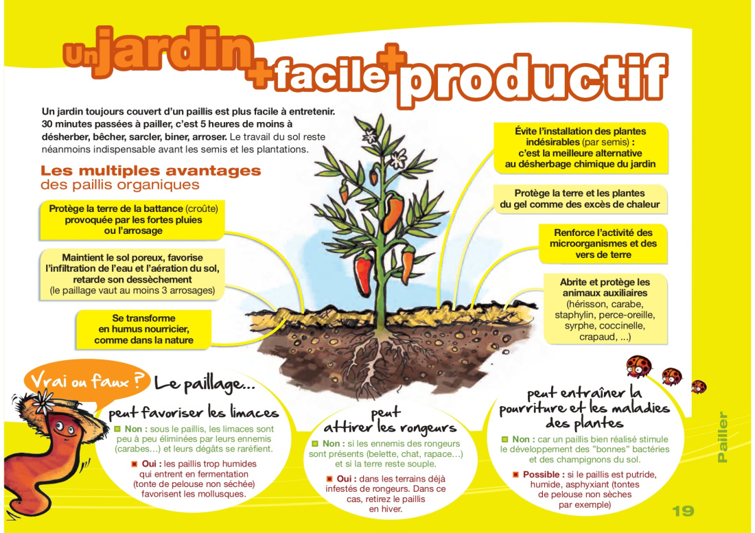 (source : "Mon jardin malin" par l'ADEME)