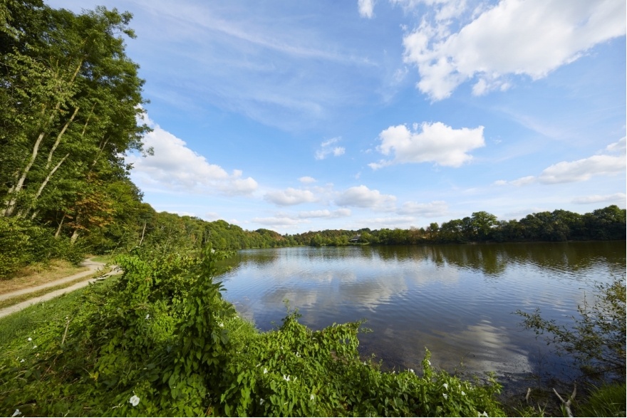 Lac de Haute Mayenne © Prisma