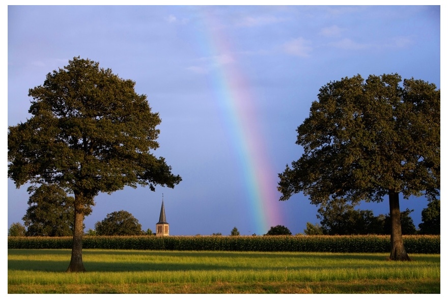 Le Bocage Mayennais © P.Greboval