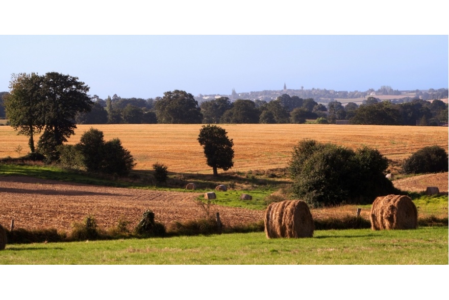 L'été dans le Bocage Mayennais © P.Greboval