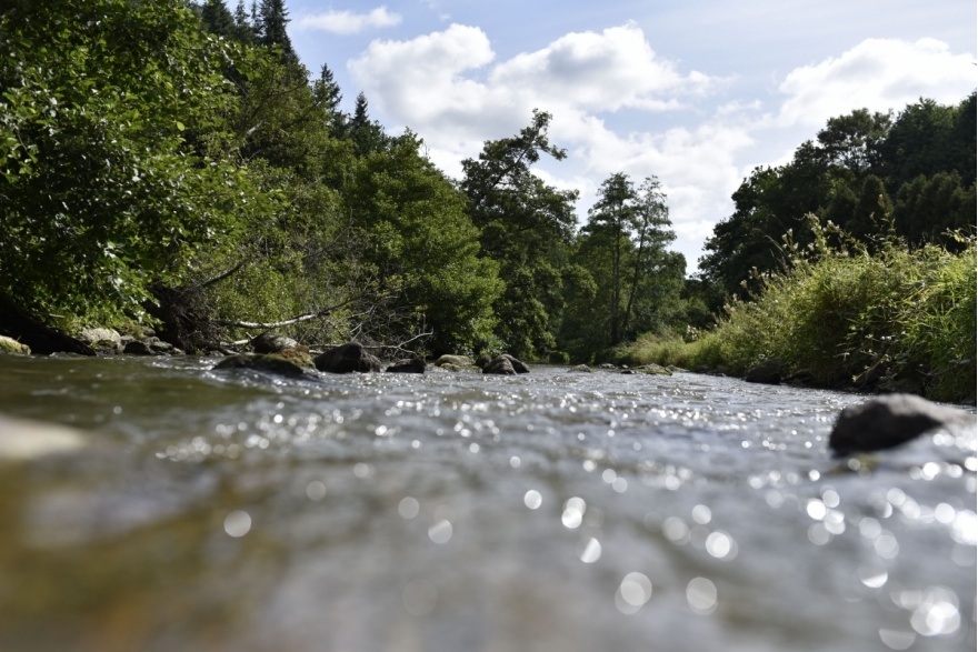 La Colmont à Oisseau © P. Beltrami