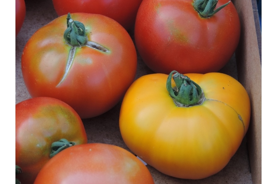 Tomates du Bocage Mayennais