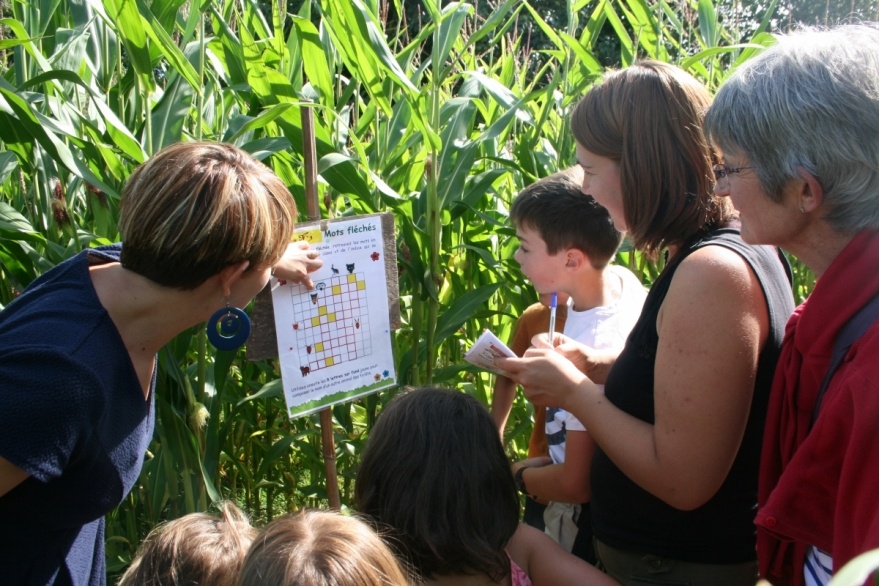 Jeu du labyrinthe